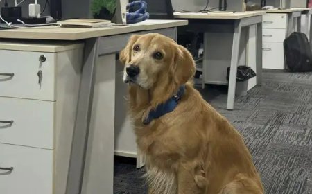 From Paw-sitive Vibes to Productivity: How Denver Became Harvesting Robotics’ Heart and Soul