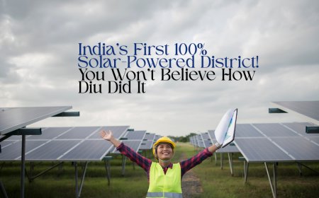 How a Tiny Island Beat the Rest of India to 100% Solar Power - The Inspiring Story of Diu