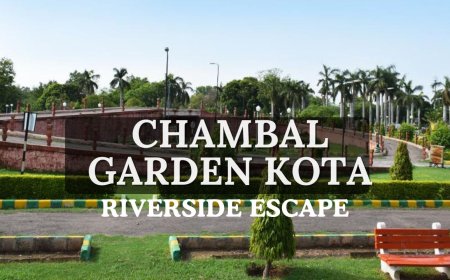 Chambal Garden Kota: A Perfect Riverside Escape for Nature Lovers