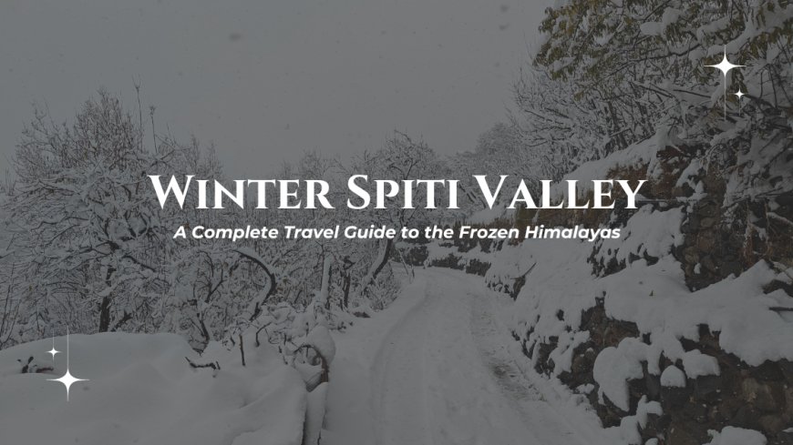 Winter Spiti Valley: A Complete Travel Guide to the Frozen Himalayas