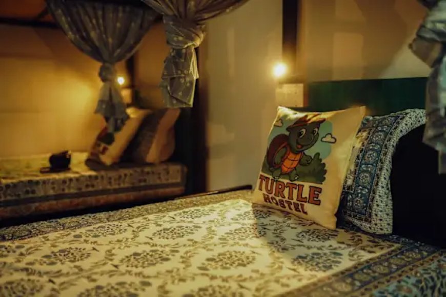 Turtle Hostel - close to lake tiny and friendly, near lakeside locations