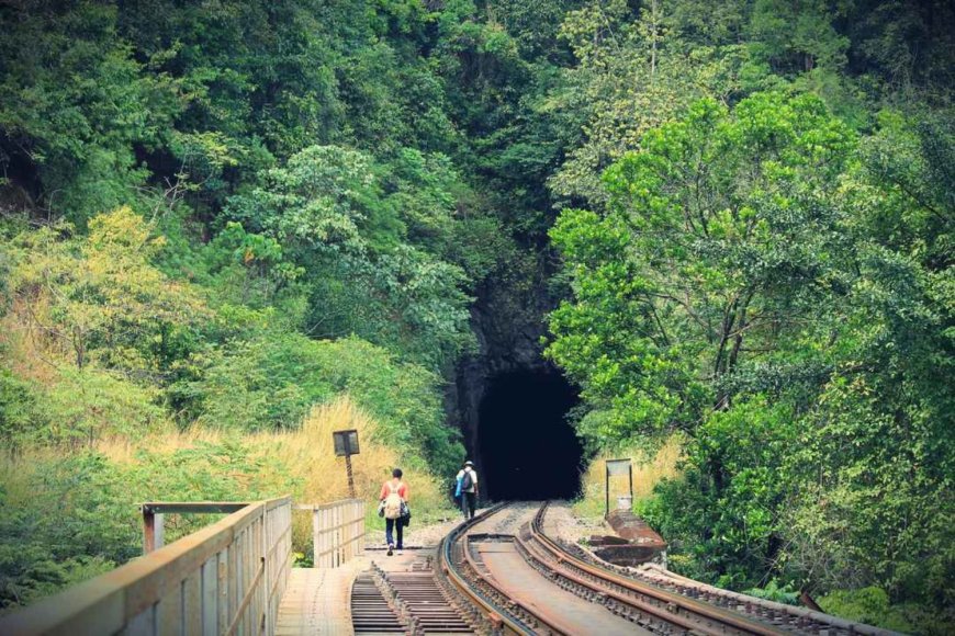 Why This Train Journey Is So Unique