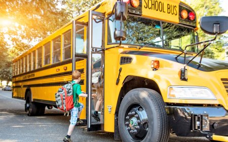 Why School Buses Are Painted Yellow: Facts, History & Science Explained guide