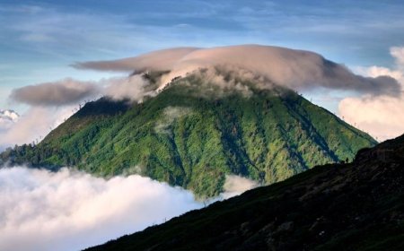 WMO Climate Forecast 2025–2029: A Wake-Up Call for Our Planet