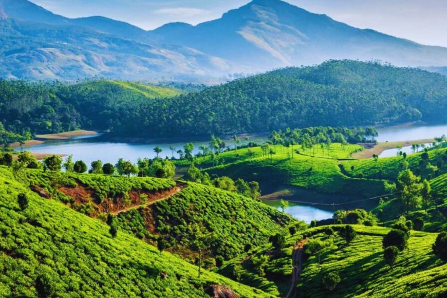 Munnar, Kerala – Tea Gardens & Misty Clean Air