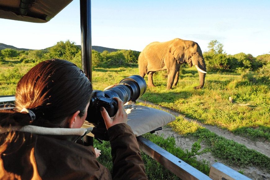 Expands Perspective & Emotional Intelligence