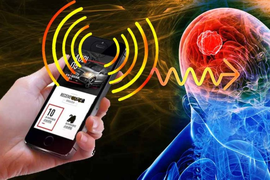 Cancer Risk: What Research Suggests