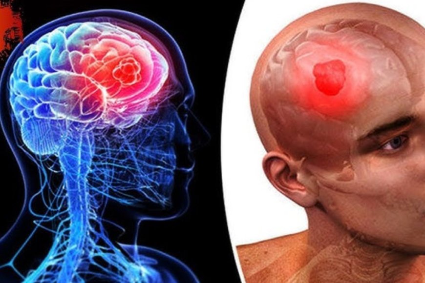 Effects on Brain Function & Mental Health