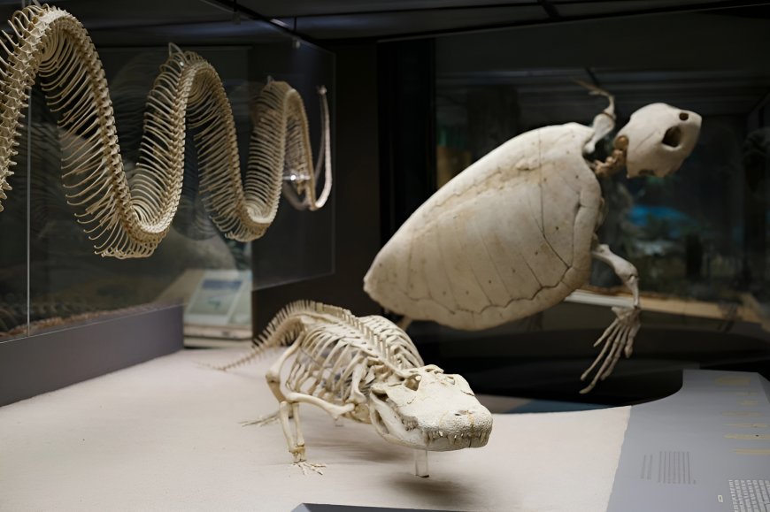 Must-See Exhibits You Should Not Miss