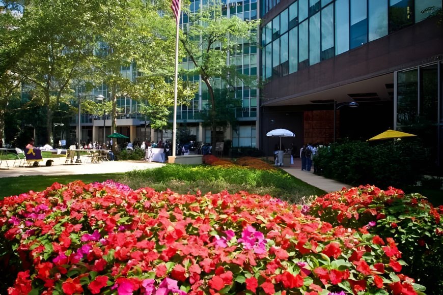 Long Island University, Brooklyn