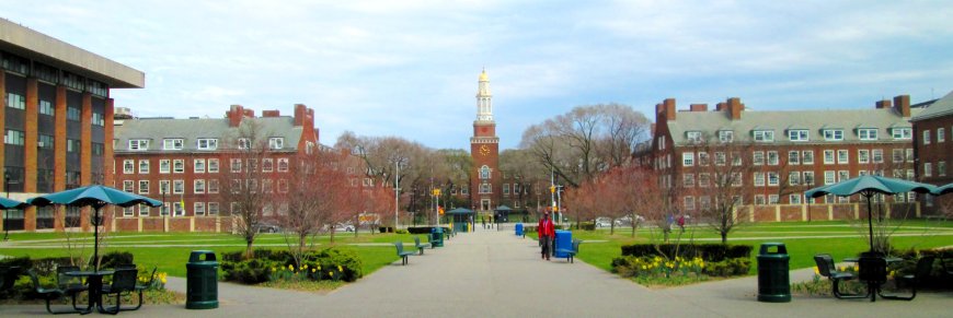 Top 10 Colleges in Brooklyn, New York City for Quality Higher Education