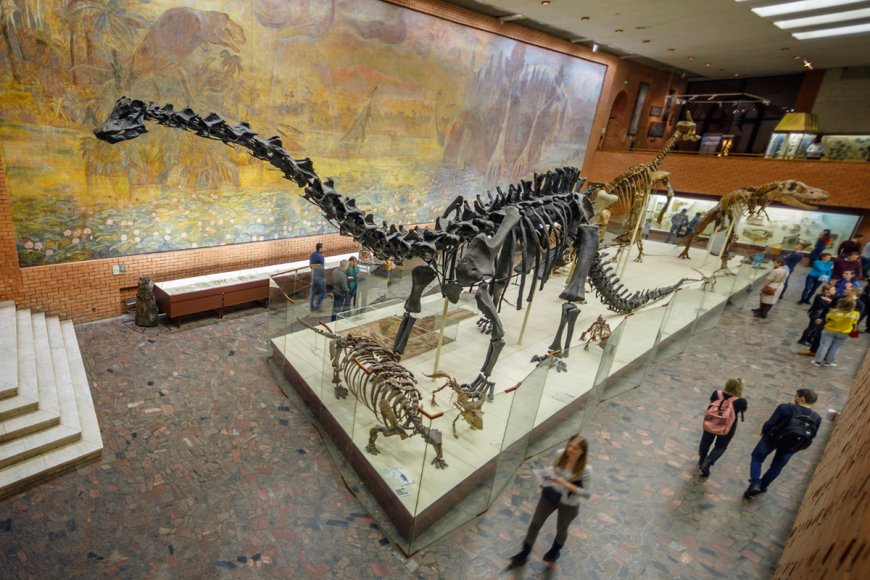 Complete Visitor Guide to the American Museum of Natural History in NYC