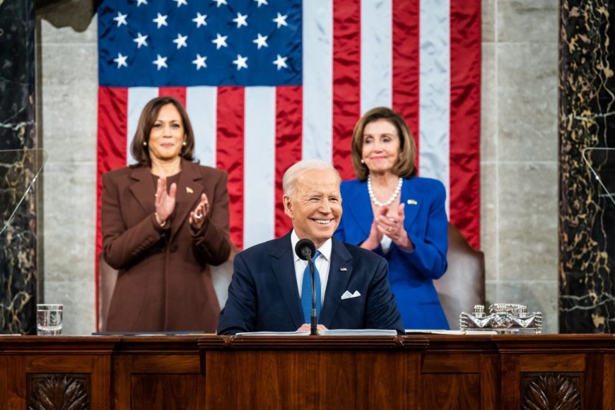 Domestic Political Response in the US