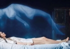 When Cells Refuse to Die: The Science of Post-Death Cellular Awareness