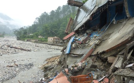 Flash Flood in Mandi, Himachal Pradesh: Everything You Need to Know