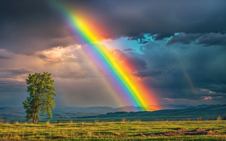Rainbows are Vanishing in India: Here’s the Alarming Reason Why