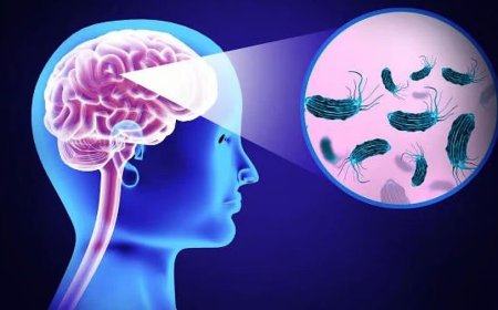 Brain-Eating Amoeba in Kerala: Deadly Outbreak Sparks Public Fear