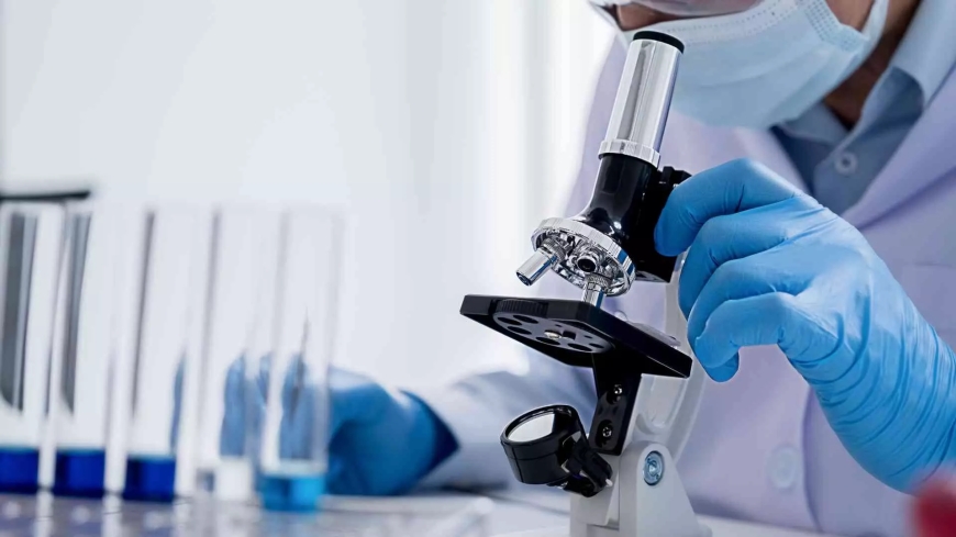 World’s First Lab-Grown Human Skin With Blood Vessels: A Medical Breakthrough You Need to Know