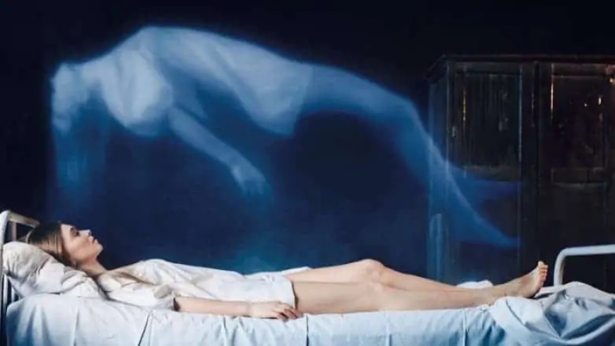 When Cells Refuse to Die: The Science of Post-Death Cellular Awareness