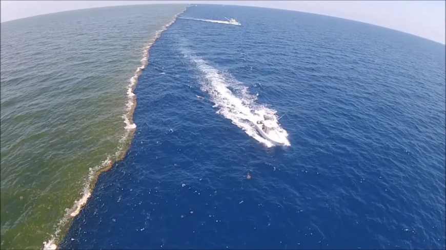 Why the Pacific and Atlantic Oceans Do Not Mix — The Real Reason Explained