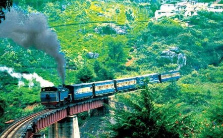 All Aboard the World's Slowest Train: A Crawling Journey Through India's Nilgiri Hills