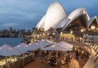 Dinner with a View: 5 Sydney Restaurants with Unforgettable Water Views
