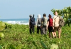 Gold, Jaguars & Endangered Eden: A Trekker's Guide to Costa Rica's Wildest Trails