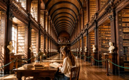 The World's Most Beautiful Libraries: 20 Places Every Book Lover Should Visit Once