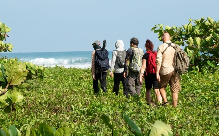 Gold, Jaguars & Endangered Eden: A Trekker's Guide to Costa Rica's Wildest Trails