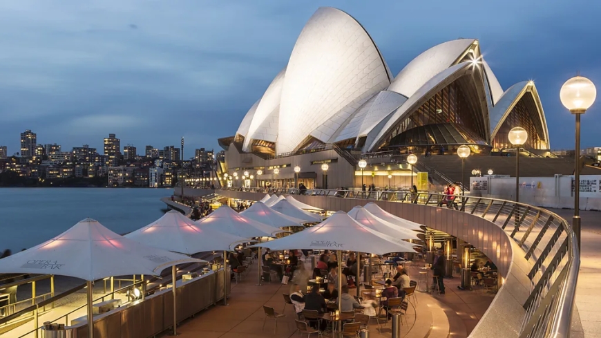 Dinner with a View: 5 Sydney Restaurants with Unforgettable Water Views