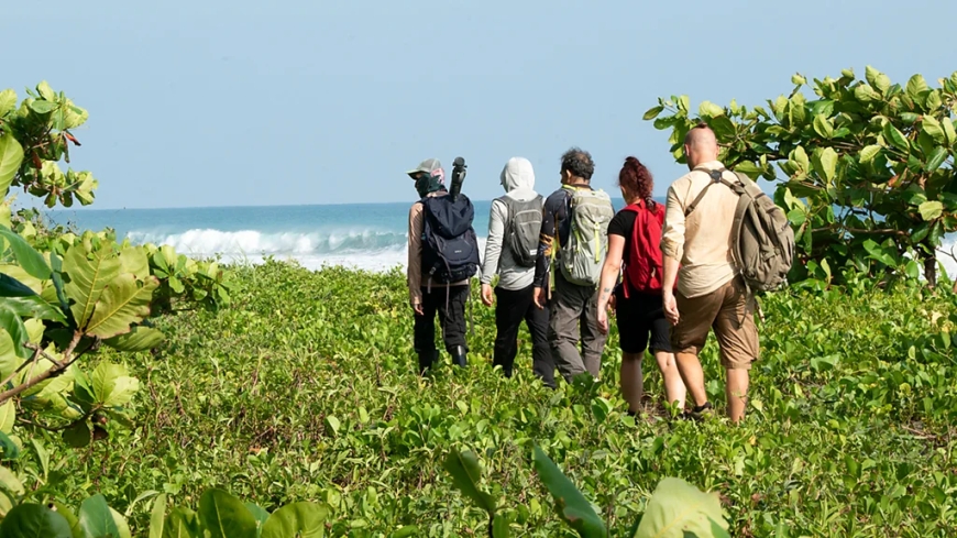 Gold, Jaguars & Endangered Eden: A Trekker's Guide to Costa Rica's Wildest Trails
