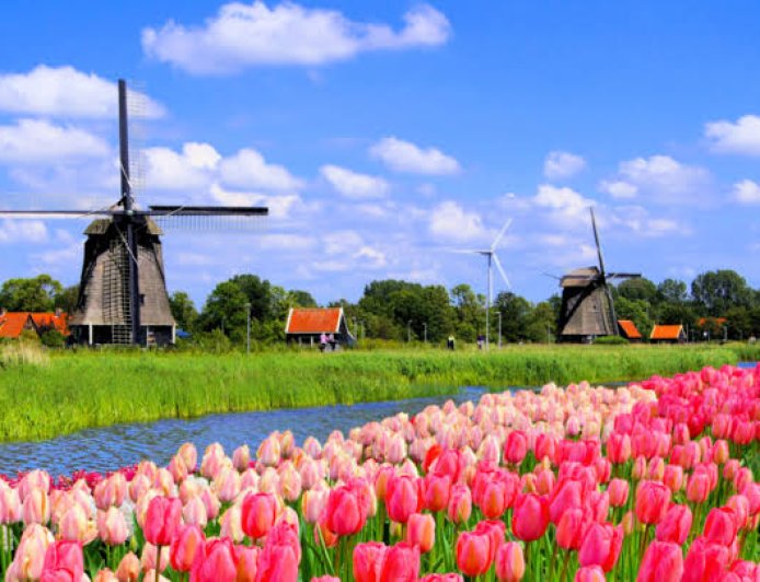 Beyond Keukenhof: Where Locals Go to See the Netherlands' Most Stunning Tulips