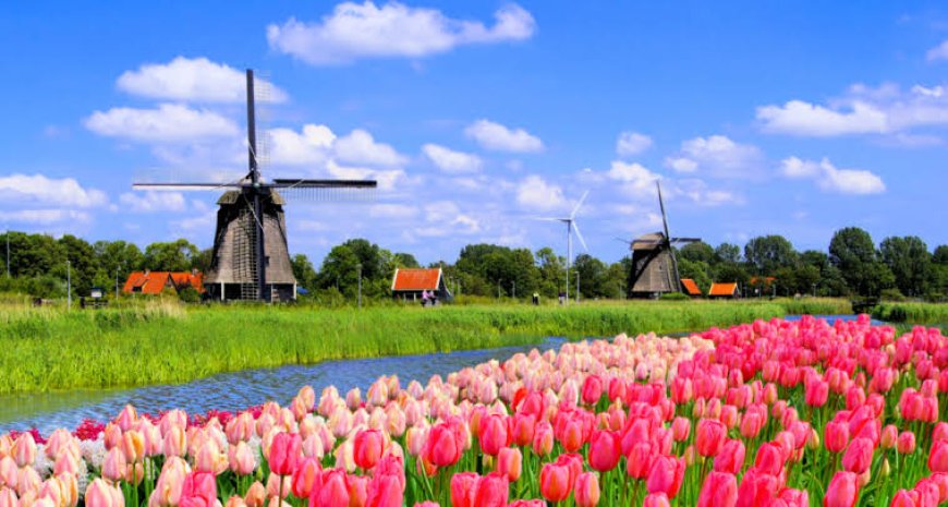 Beyond Keukenhof: Where Locals Go to See the Netherlands' Most Stunning Tulips